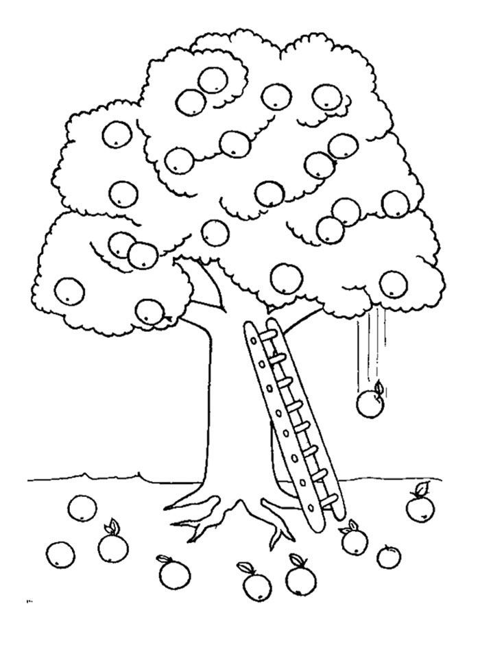 Apple Tree And Ladder Coloring Page