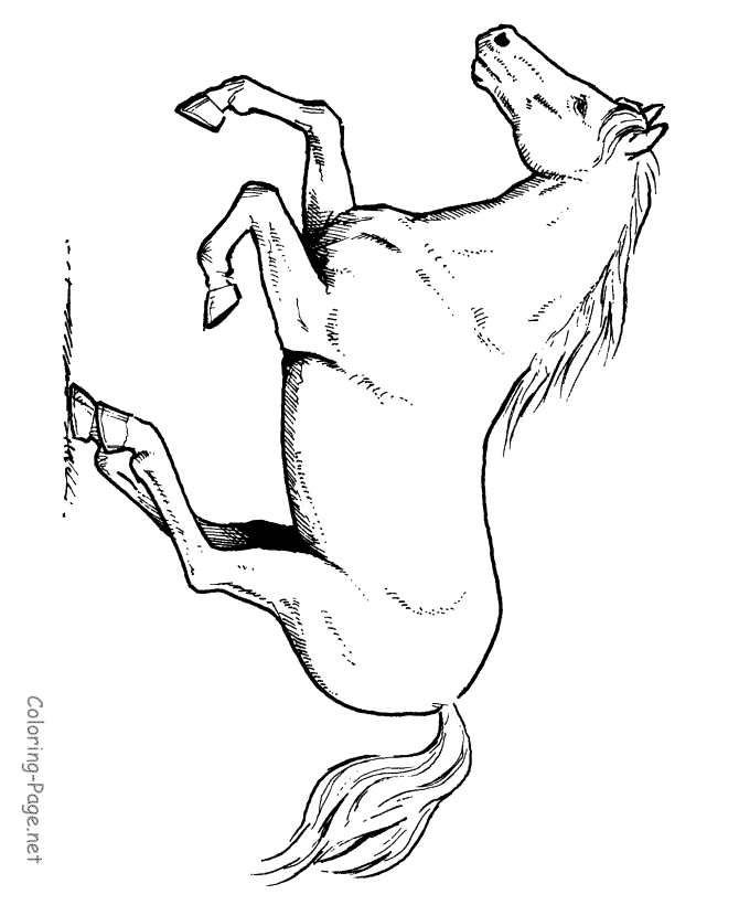 Horse Coloring Page - Running horse