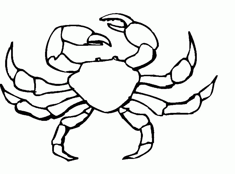Hermit Crab Coloring Page | Clipart Panda - Free Clipart Images