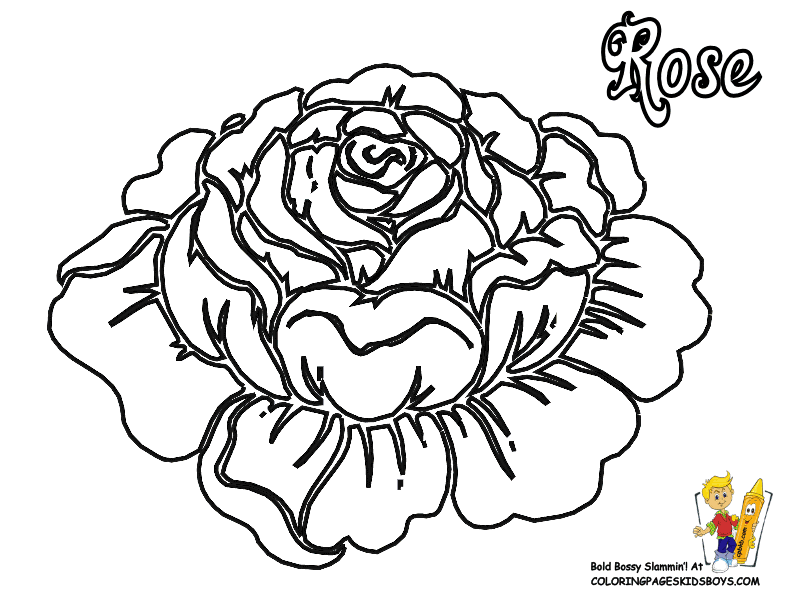 flowers coloring page printable : Printable Coloring Sheet ~ Anbu 