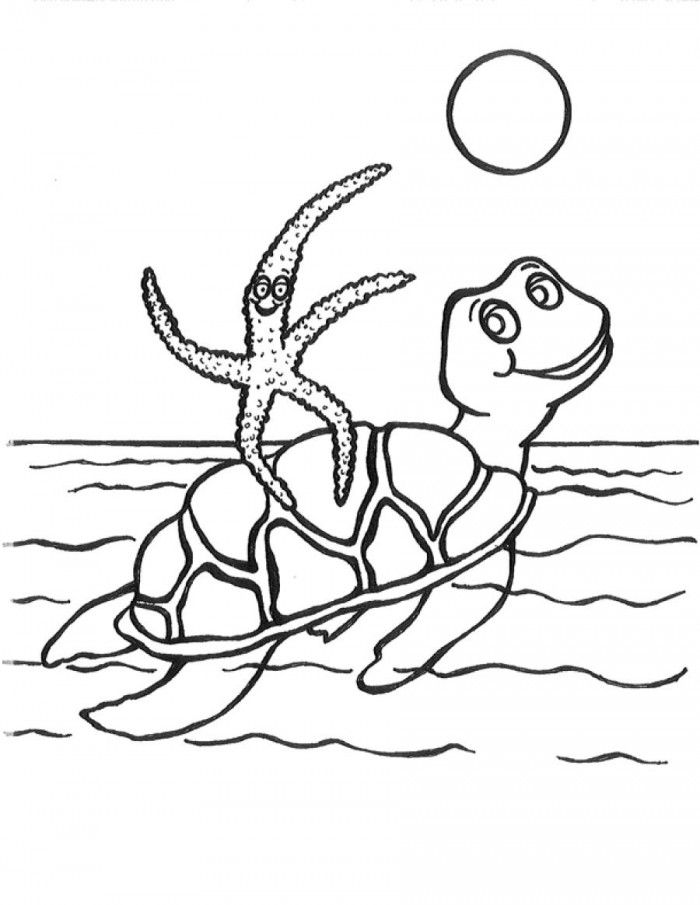 Swimming Turtle Coloring Pages