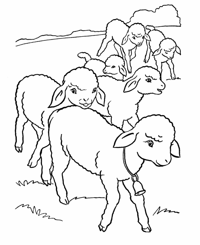 Farm animal coloring page | Flock of lambs | EFS Farm Unit