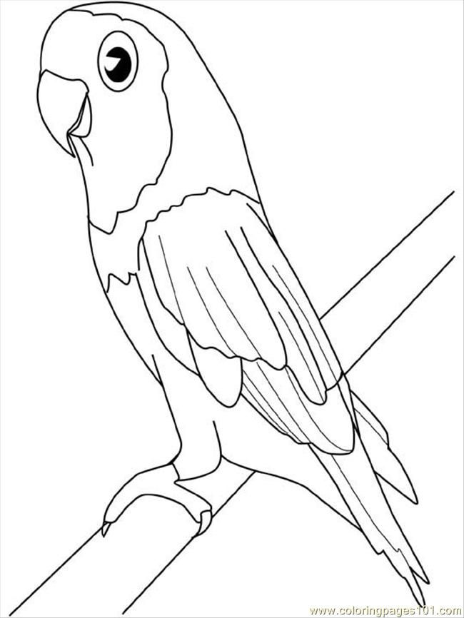 Coloring Pages Parakeet (Birds > Parrots) - free printable 