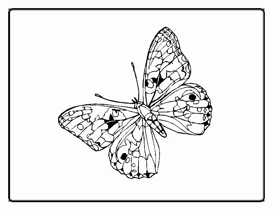 christian butterfly coloring pages : Printable Coloring Sheet 