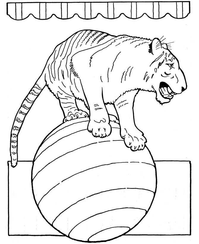 Circus Animal Coloring Pages | Printable performing circus trained 