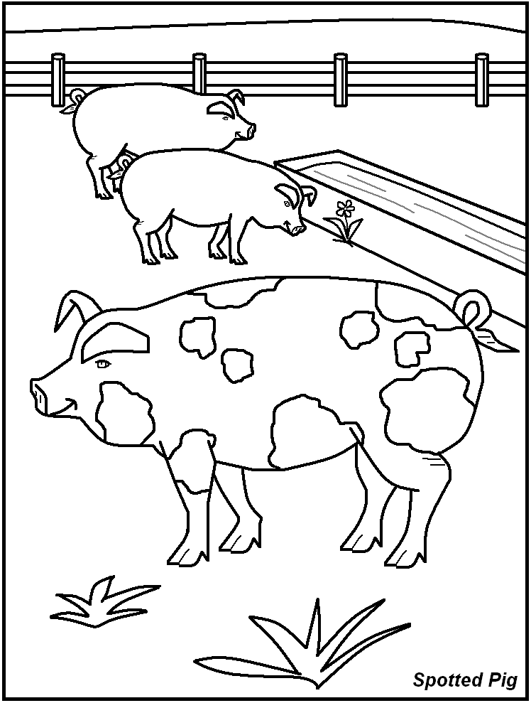 colorwithfun.com - Farm Animals Pictures For Kids to Colour
