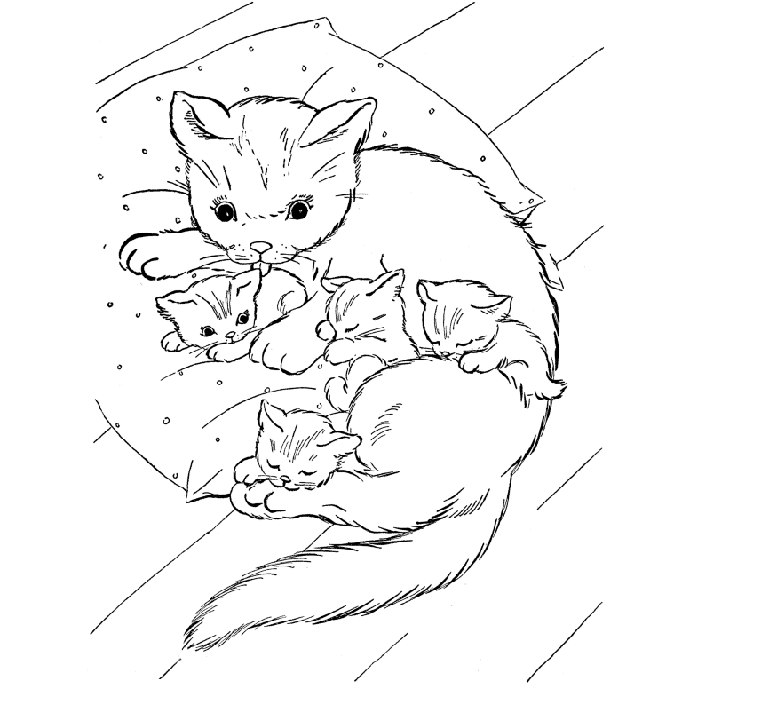 Cute Baby Cats Coloring Pages Animal Pictures