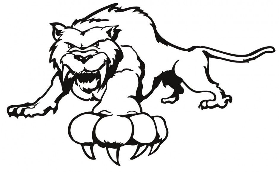 Name Baby Tiger Coloring Pages Hd Pictures Resolution Id 30093 