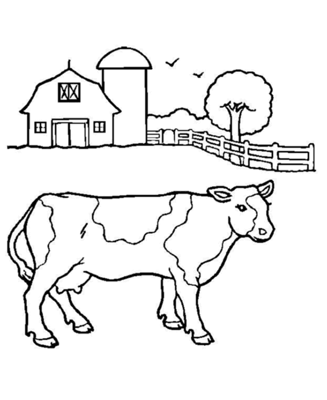 Coloring Pages Of A Cow 438 | Free Printable Coloring Pages