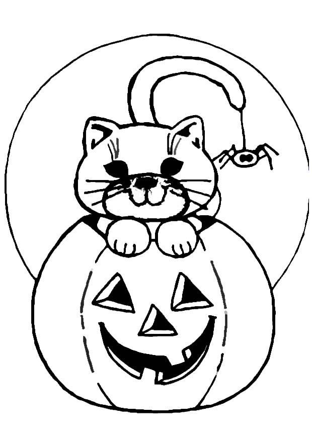 Coloring page jack-o-lantern and cat - img 8618.