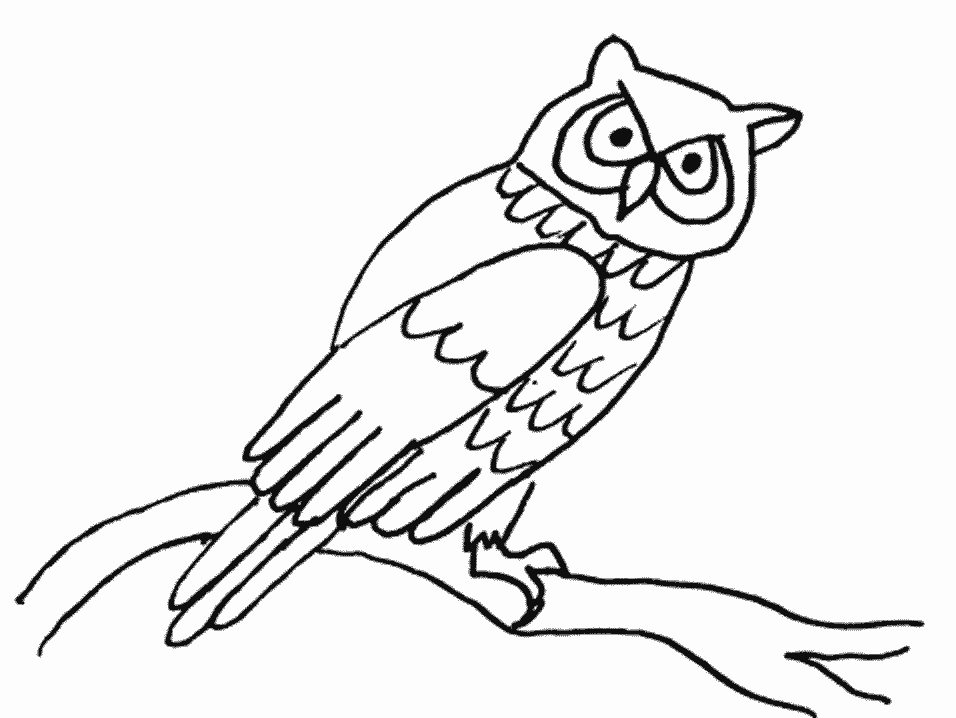 Animals # Owl Coloring Pages & Coloring Book