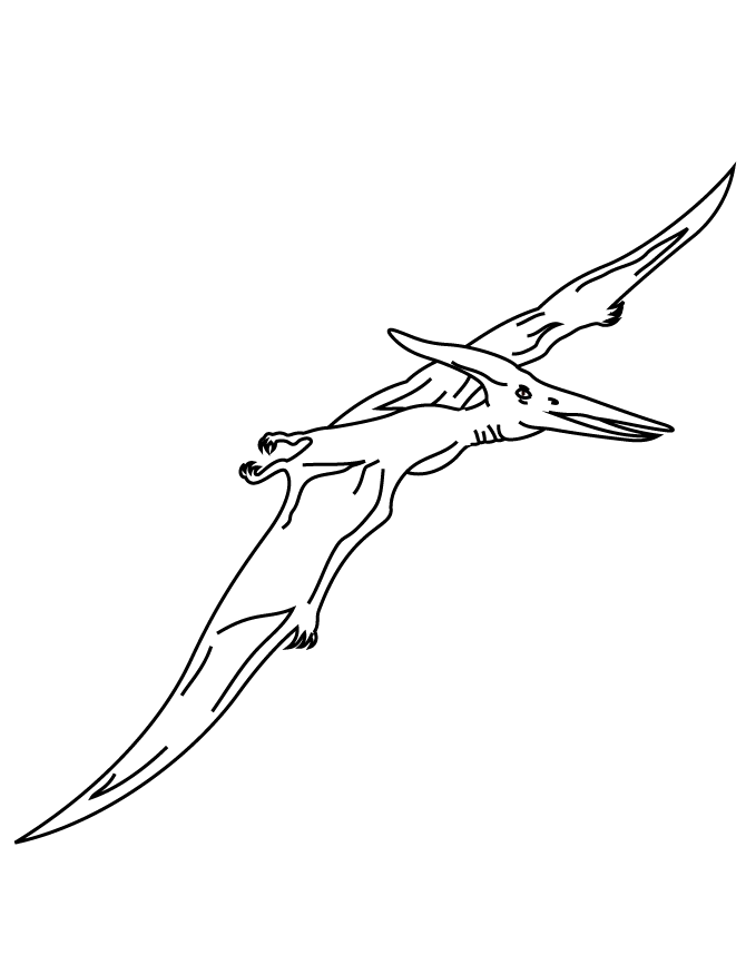 Pterodactyl Flying Dinosaur Coloring Page | HM Coloring Pages