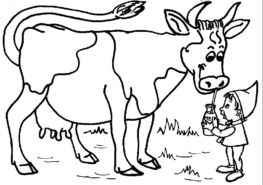 Coloring Page - Cow coloring pages 17