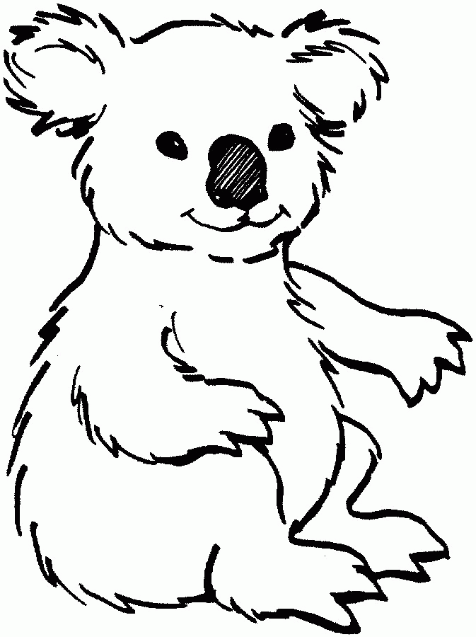Cartoon Kola Bear Face