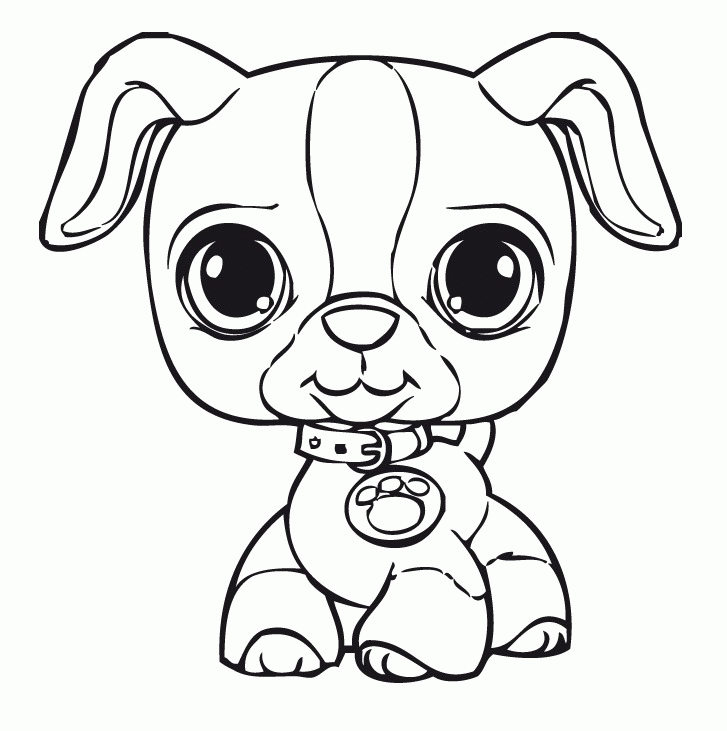 Pet Shop Coloring Pages