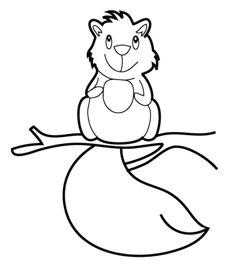 Cute Baby Squirrel Coloring Pages | Wild Again Rescue