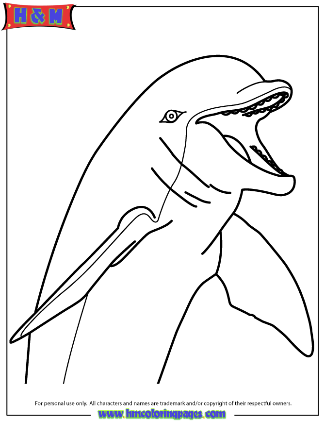 Pink Dolphin Coloring Page | Free Printable Coloring Pages