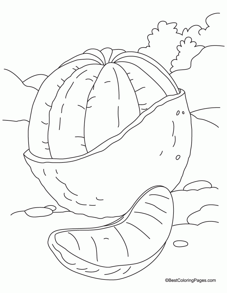 Peeled Ornage and slice coloring page | Download Free Peeled 