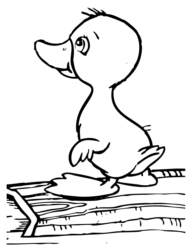 Baby Duck Standing On Log Coloring Page | Free Printable Coloring 