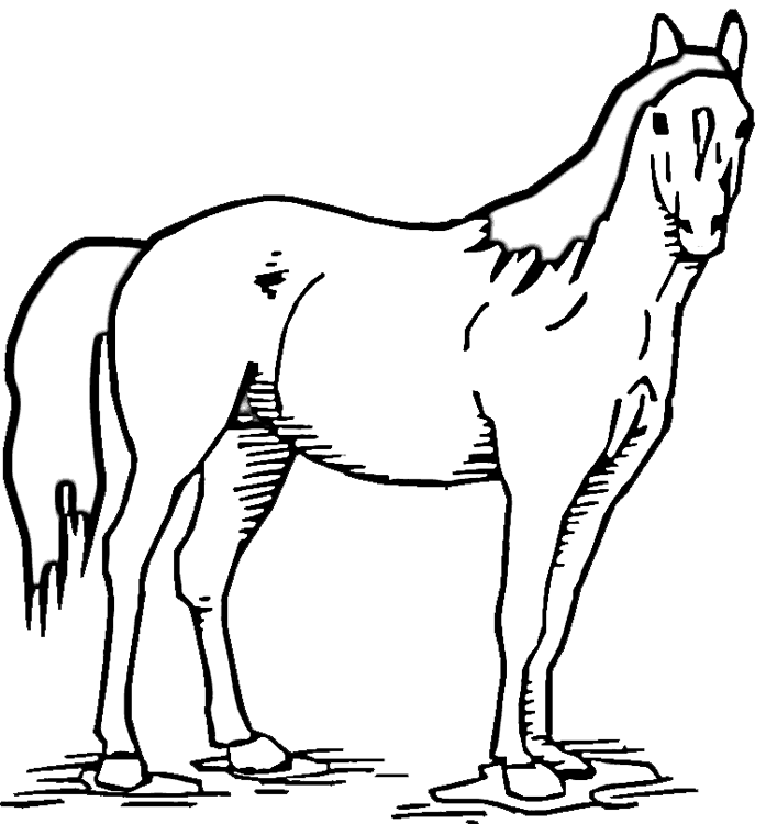Horse Standing in Pasture Coloring Page | Purple Kitty