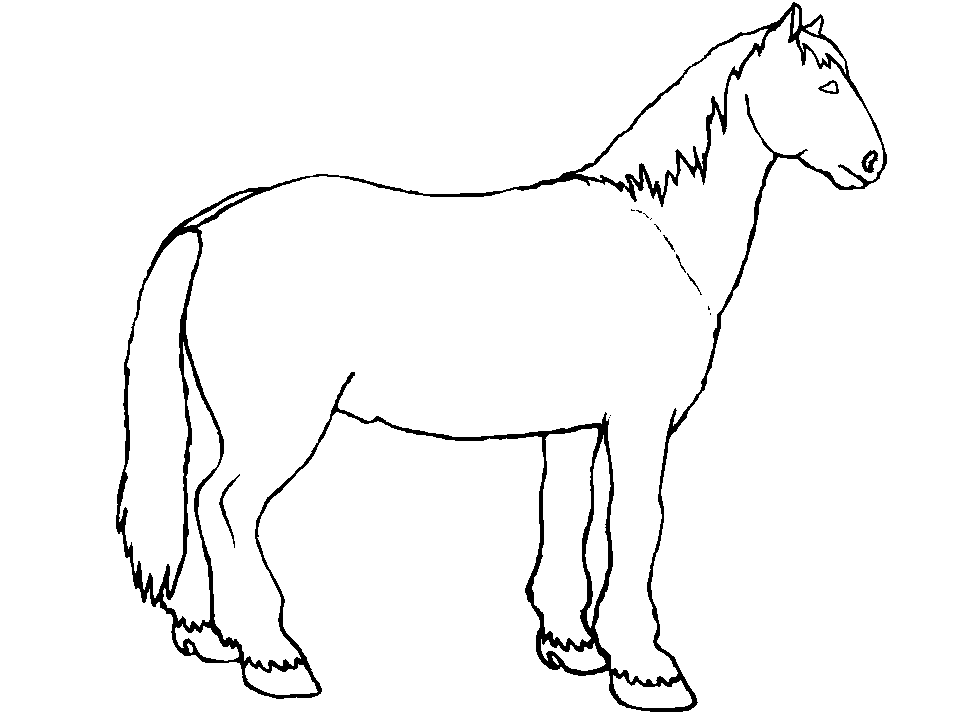 coloring pages of horse head : Printable Coloring Sheet ~ Anbu 