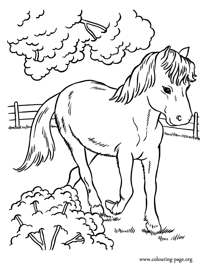 horses cute horse running in the farm coloring page