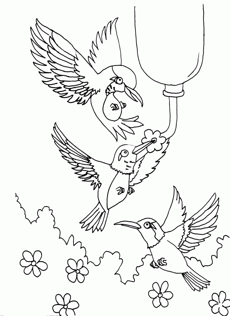 Hummingbird-Coloring-Pages-Printable-866×1024 | COLORING WS