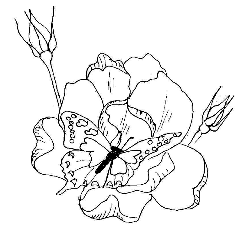 Free Coloring Pages Of Flowers 80 | Free Printable Coloring Pages