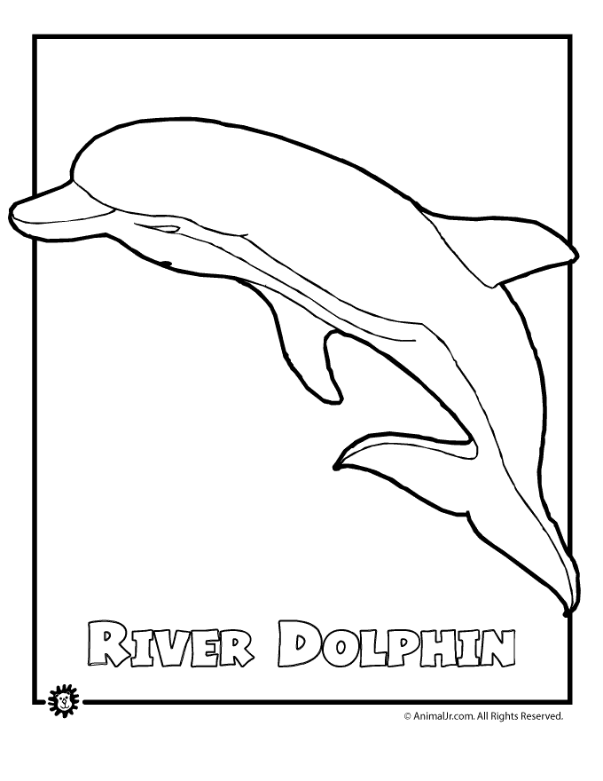 Amazon River Dolphin coloring page - Animals Town - animals color 
