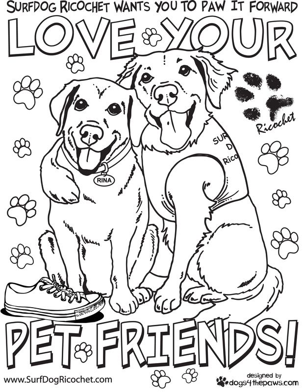 Surf dogs Anti-Bullying Campaign - Surf dog Ricochet