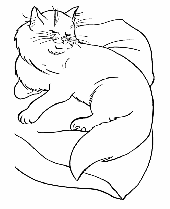 cat coloring pages printable sassy on pillow page