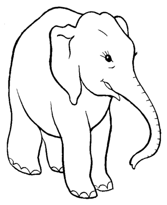 Smart Elephant Coloring Pages | Elephant Coloring Page and Kids 