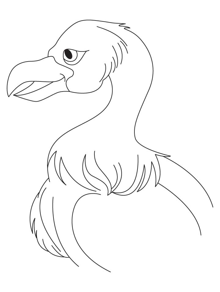 Jatayu vulture coloring pages | Download Free Jatayu vulture 