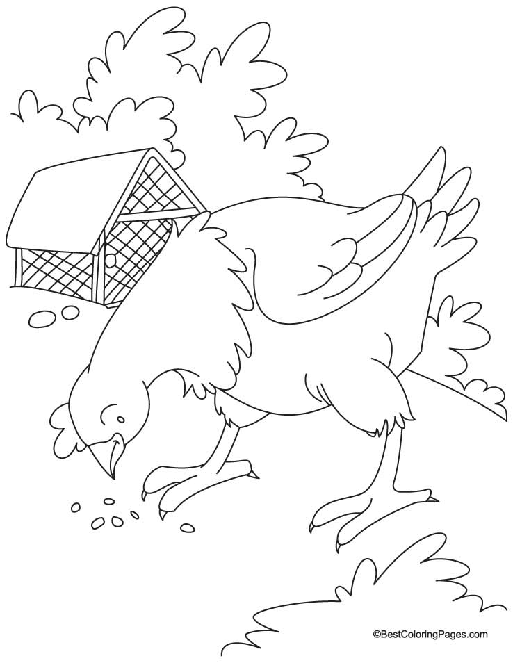 red hen Colouring Pages (page 3)
