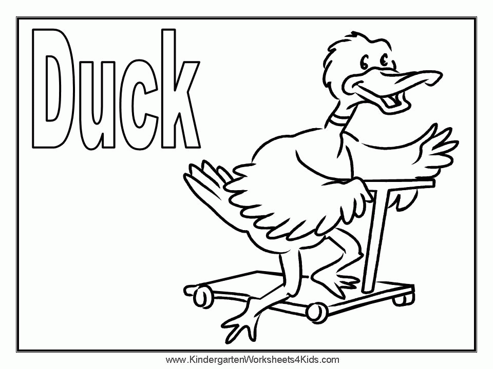 duck coloring pages : Printable Coloring Sheet ~ Anbu Coloring 
