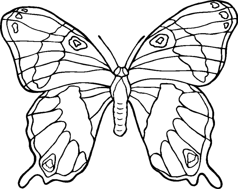 free butterfly coloring pages printable | Coloring Picture HD For 