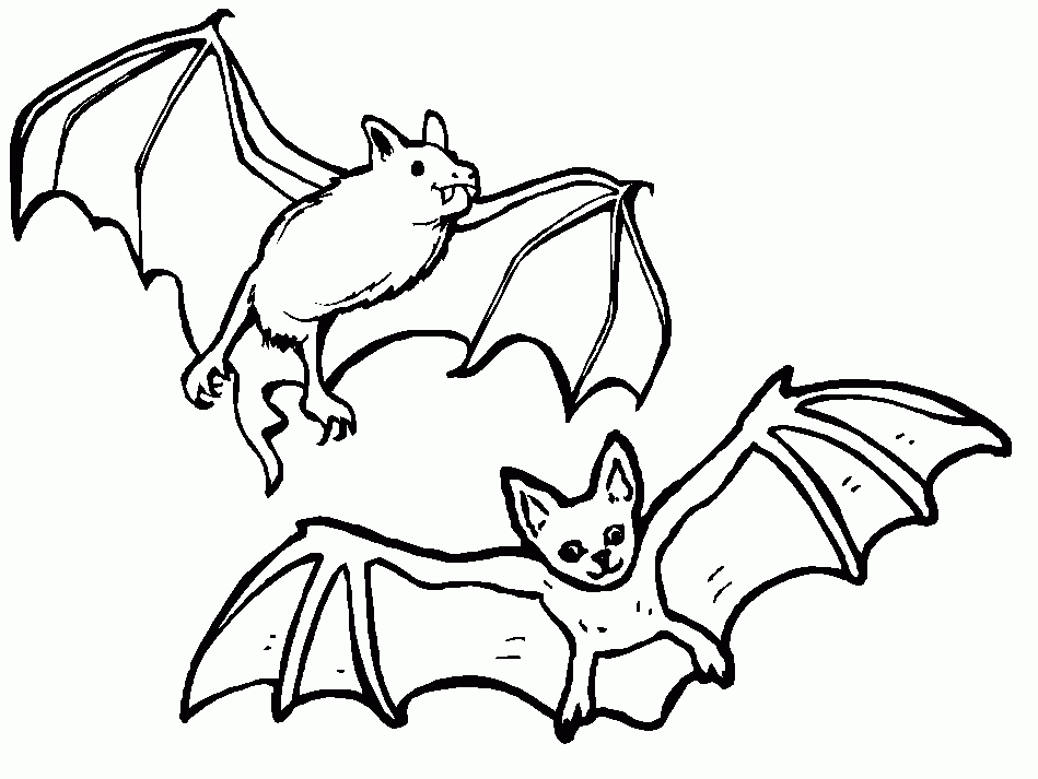bat pictures to print | Coloring Picture HD For Kids | Fransus 