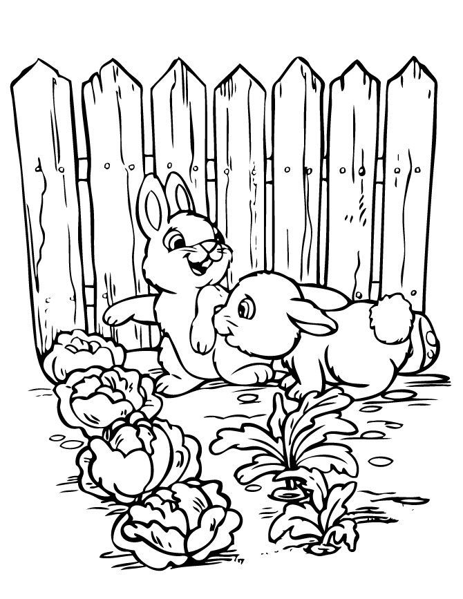 2 Cute Rabbits In Garden Coloring Page | HM Coloring Pages