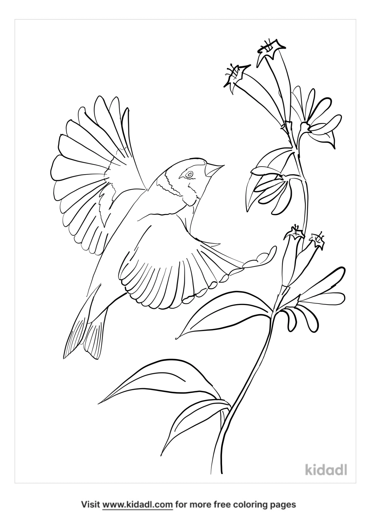 Goldfinch Coloring Pages | Free Animals Coloring Pages | Kidadl