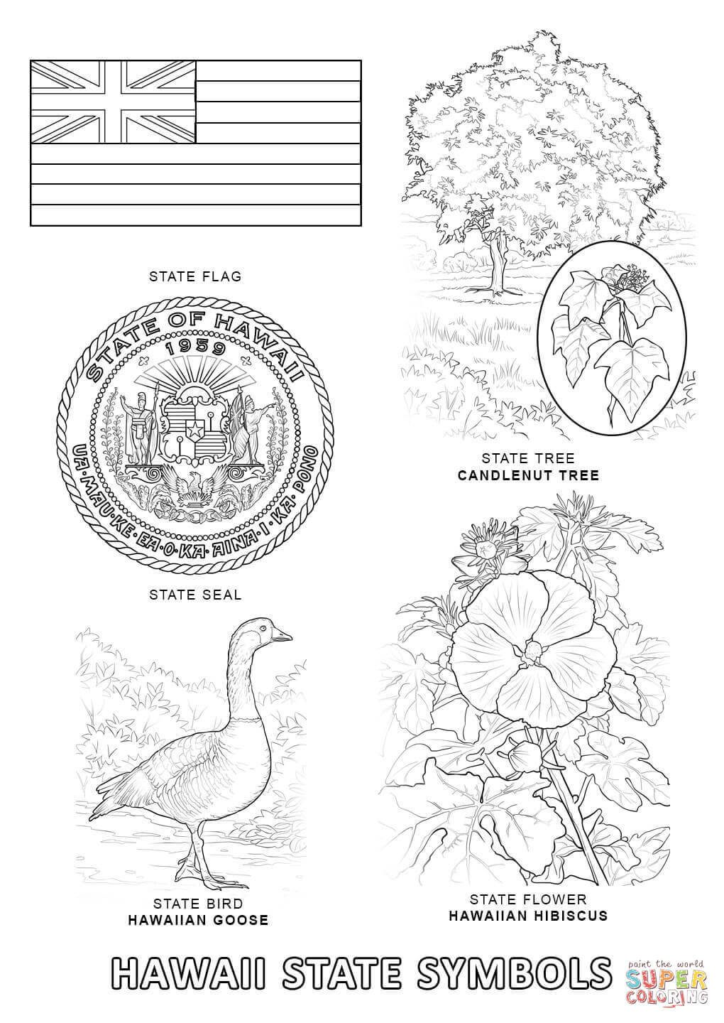 Hawaii State Symbols coloring page | Free Printable Coloring Pages