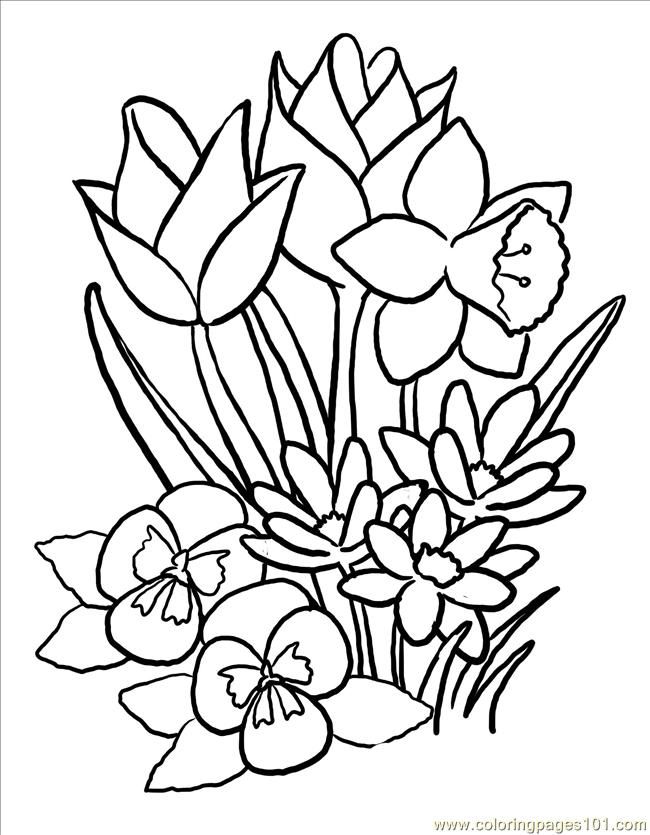 14 Pics of Flower Coloring Pages Printable Bing - Spring Flower ...