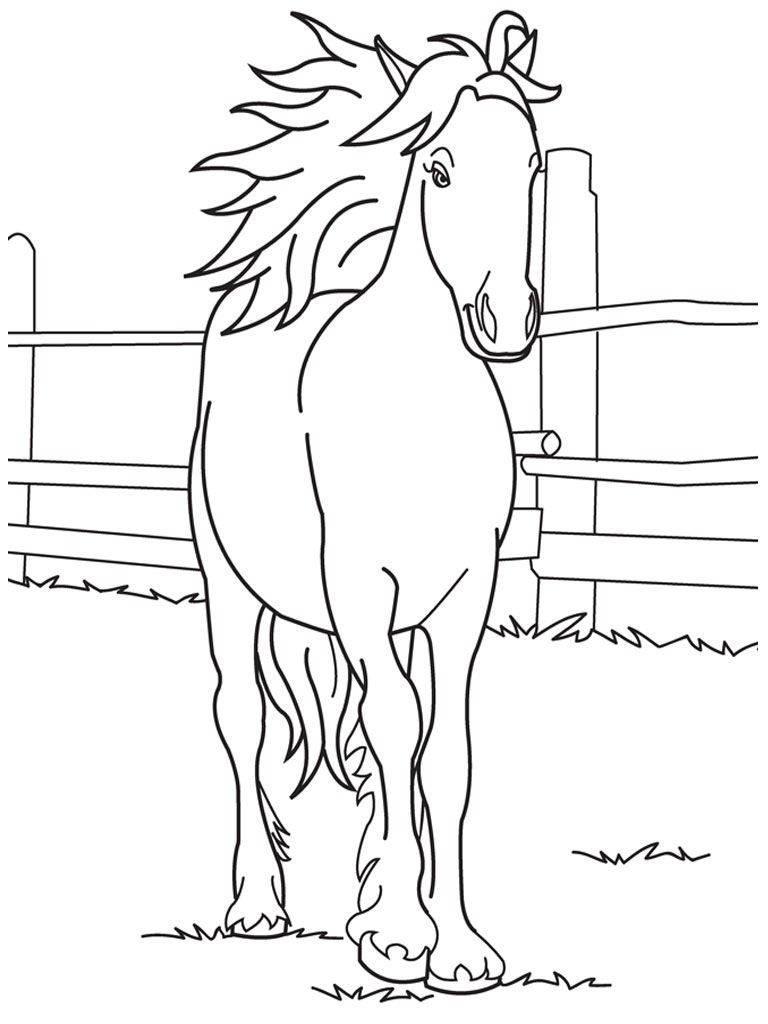 cute baby horse coloring pages | Only Coloring Pages