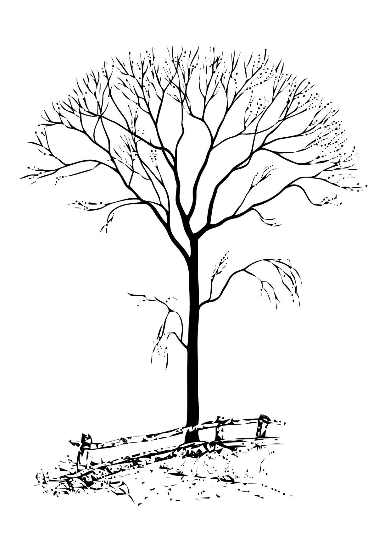 Coloring page bare tree - img 11331.