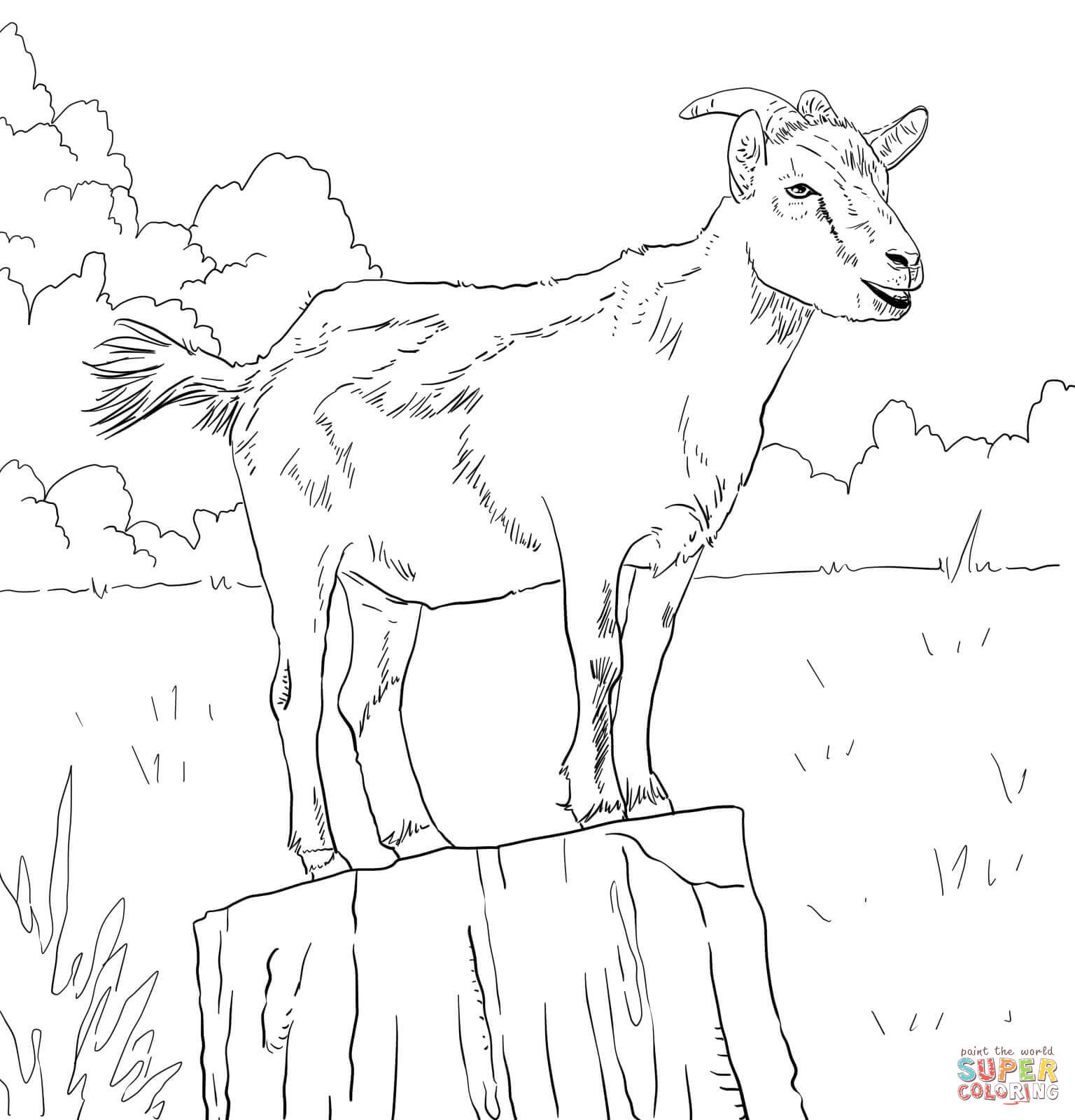 Domestic Goat coloring pages | Free Coloring Pages