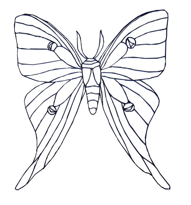 Moth coloring page - Animals Town - animals color sheet - Moth printable  coloring | Раскраски, Бесплатные раскраски, Трафареты