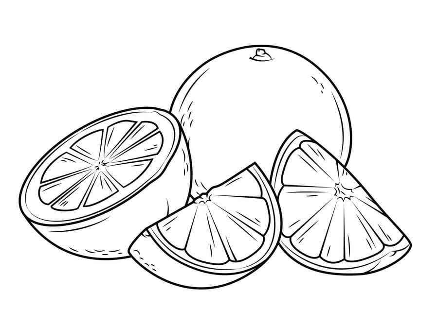 Coloring pages: Grapefruit, printable for kids & adults, free to download