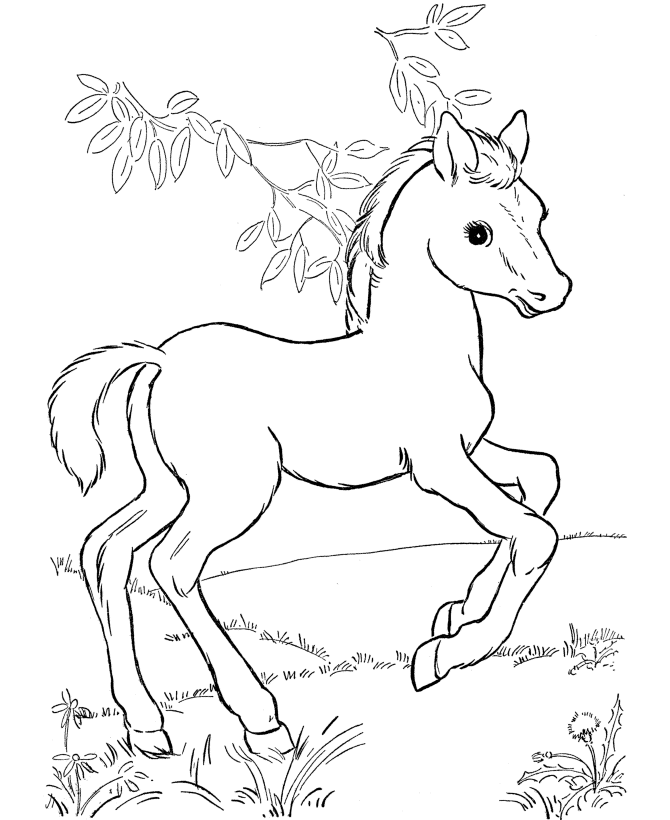 Horse Coloring Pages | Printable horses and foal Coloring Page ...