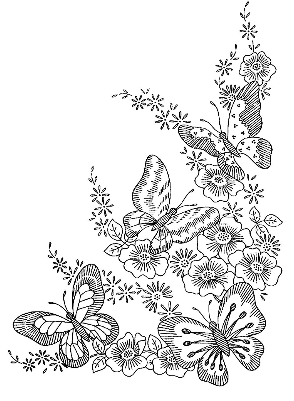 Butterflies - Butterflies & insects Adult Coloring Pages