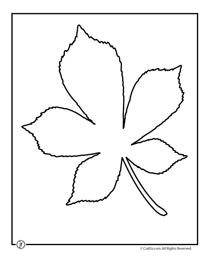 Best Photos of Leaf Stencils For Tracing - Fall Leaf Stencils ...