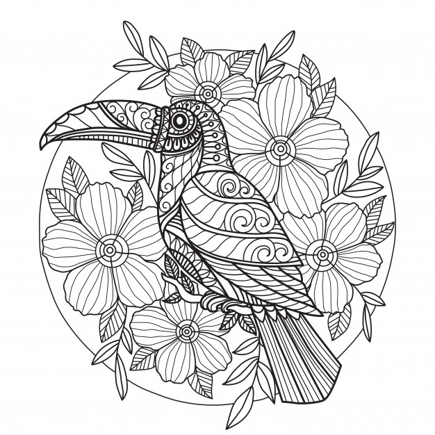 Tucan and flower coloring page for adults | Premium Vector